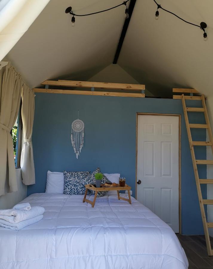 Tiny House Dreamcatcher Sarchí Extérieur photo